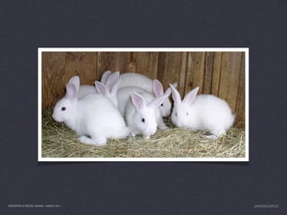 PRESENTED AT DIGITAL GARAGE, AUGUST 2011   JANICE@LUXR.CO
 