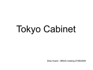 Tokyo Cabinet Elise Huard – BRUG meeting 27/08/2009  
