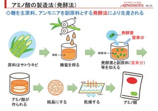 アミノ酸の製造法（発酵法）
◇糖を主原料、アンモニアを副原料とする発酵法により生産される
原料はサトウキビ 糖蜜を搾る
発酵菌と副原料（窒素分）
等を加える
アミノ酸が
作られる
乾燥する
発酵菌
窒素分
結晶にする アミノ酸
No.23
 