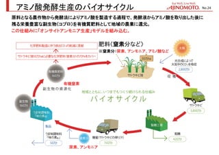 アミノ酸発酵生産のバイオサイクル
肥料（窒素分など）
※窒素分：尿素、アンモニア、アミノ酸など
尿素、アンモニア
原料となる農作物から発酵法によりアミノ酸を製造する過程で、発酵液からアミノ酸を取り出した後に
残る栄養豊富な副生物（コプロ）を有機質肥料として地域の農業に還元。
この仕組みに「オンサイトアンモニア生産」モデルを組み込む。
有機窒素
No.24
 