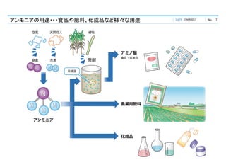 DATE No.アンモニアの用途・・・食品や肥料、化成品など様々な用途 27APR2017 7
 