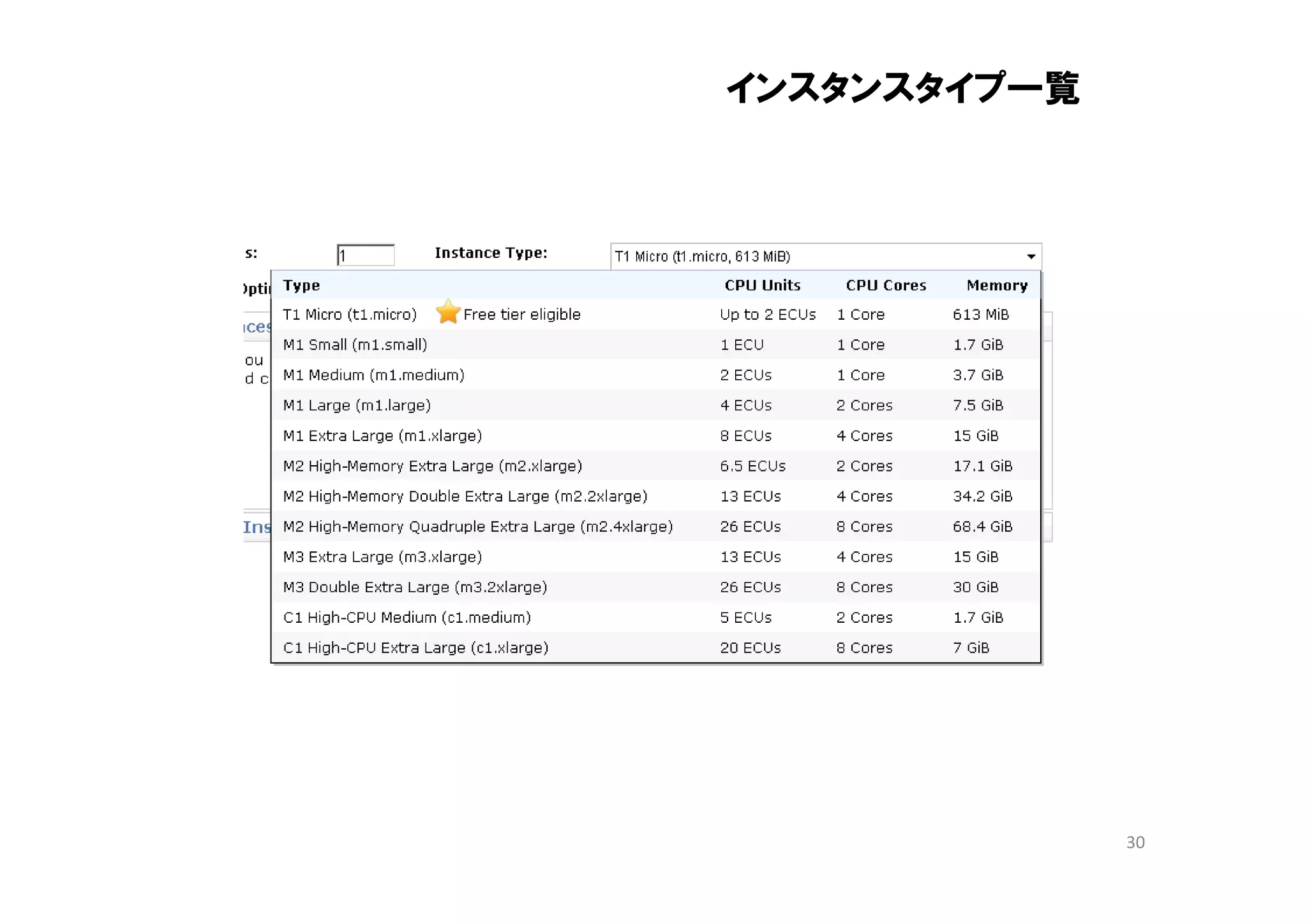 インスタンスタイプ一覧




              30
 