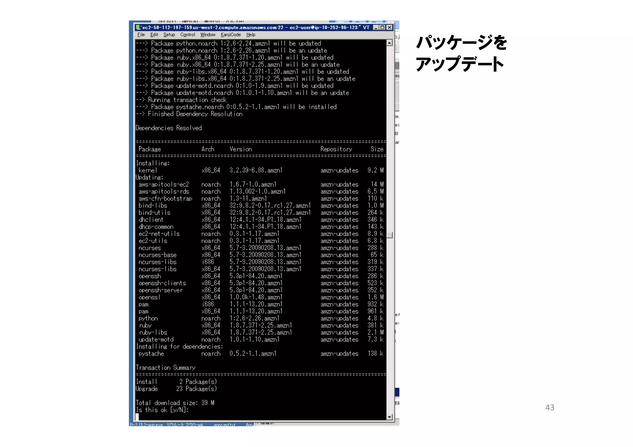 パッケージを
アップデート




         43
 