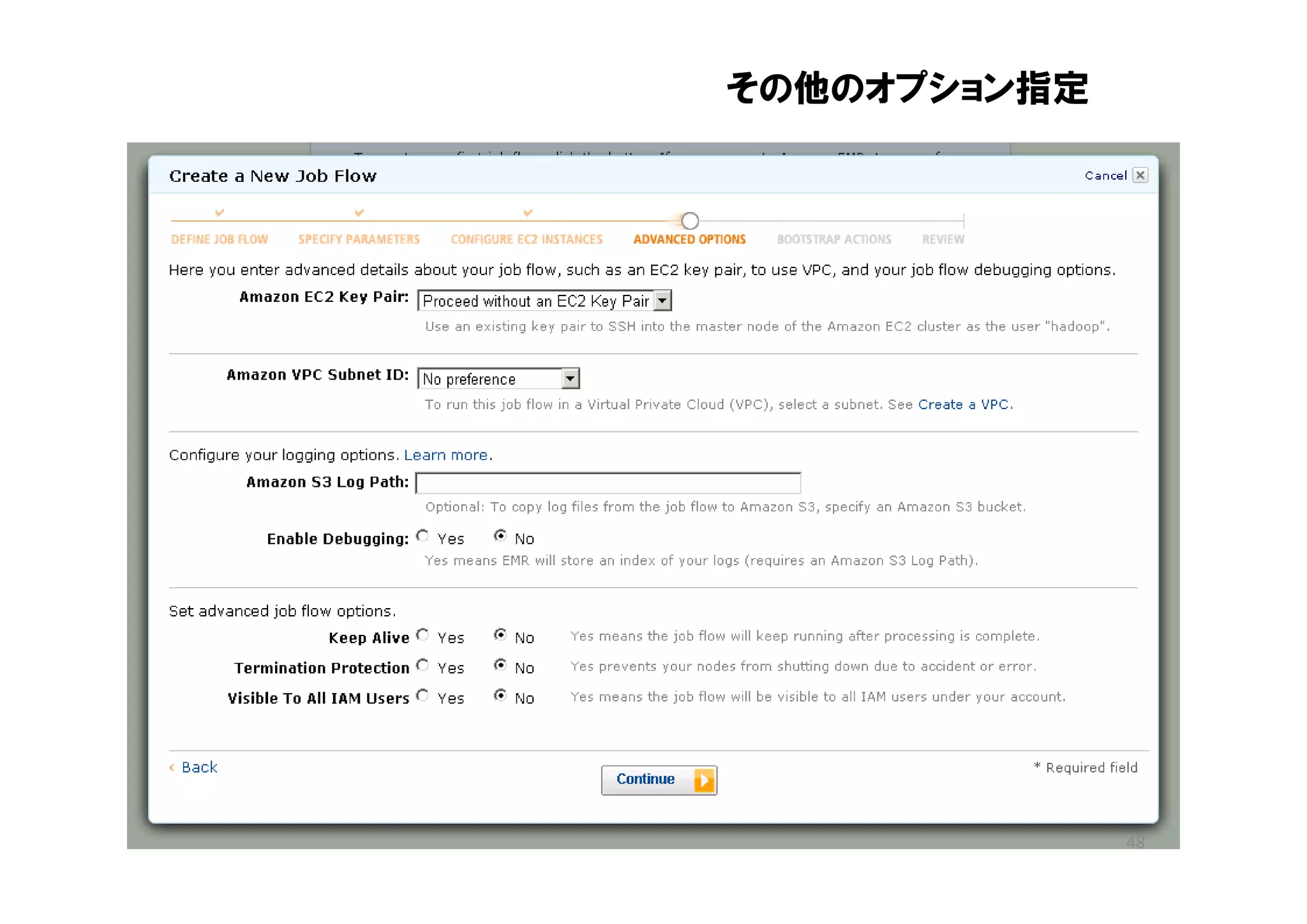 その他のオプション指定




              48
 