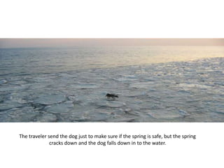 The traveler send the dog just to make sure if the spring is safe, but the spring
              cracks down and the dog falls down in to the water.
 