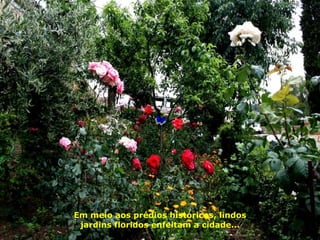 Em meio aos prédios históricos, lindos jardins floridos enfeitam a cidade... 