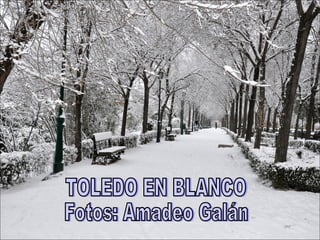 TOLEDO EN BLANCO Fotos: Amadeo Galán 