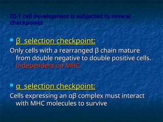 III-T cell development is subjected to several
III-T cell development is subjected to several
checkpoints
checkpoints
 β
β selection checkpoint:
selection checkpoint:
Only cells with a rearranged
Only cells with a rearranged β
β chain mature
chain mature
from double negative to double positive cells.
from double negative to double positive cells.
Independent on MHC
Independent on MHC
 α
α selection checkpoint:
selection checkpoint:
Cells expressing an
Cells expressing an αβ
αβ complex must interact
complex must interact
with MHC molecules to survive
with MHC molecules to survive
 
