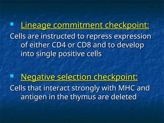  Lineage commitment checkpoint:
Lineage commitment checkpoint:
Cells are instructed to repress expression
Cells are instructed to repress expression
of either CD4 or CD8 and to develop
of either CD4 or CD8 and to develop
into single positive cells
into single positive cells
 Negative selection checkpoint:
Negative selection checkpoint:
Cells that interact strongly with MHC and
Cells that interact strongly with MHC and
antigen in the thymus are deleted
antigen in the thymus are deleted
 