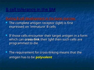 B cell tolerance in the BM
B cell tolerance in the BM
During B cell development in the bone marrow:
During B cell development in the bone marrow:
 The complete antigen receptor (IgM) is first
The complete antigen receptor (IgM) is first
expressed on 'immature' B cells
expressed on 'immature' B cells
 If those cells encounter their target antigen in a form
If those cells encounter their target antigen in a form
which can
which can cross-link
cross-link their IgM then such cells are
their IgM then such cells are
programmed to die
programmed to die
 The requirement for cross-linking means that the
The requirement for cross-linking means that the
antigen has to be
antigen has to be polyvalent
polyvalent
 
