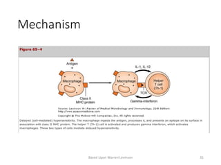 Mechanism
Based Upon Warren Levinson 31
 