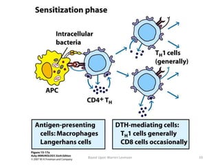 Based Upon Warren Levinson 33
 