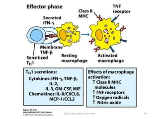 Based Upon Warren Levinson 34
 