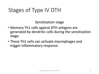 Stages of Type IV DTH
Sensitization stage
• Memory Th1 cells against DTH antigens are
generated by dendritic cells during the sensitization
stage.
• These Th1 cells can activate macrophages and
trigger inflammatory response.
Based Upon Warren Levinson 37
 