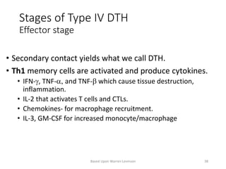 Stages of Type IV DTH
Effector stage
• Secondary contact yields what we call DTH.
• Th1 memory cells are activated and produce cytokines.
• IFN-g, TNF-a, and TNF-b which cause tissue destruction,
inflammation.
• IL-2 that activates T cells and CTLs.
• Chemokines- for macrophage recruitment.
• IL-3, GM-CSF for increased monocyte/macrophage
Based Upon Warren Levinson 38
 