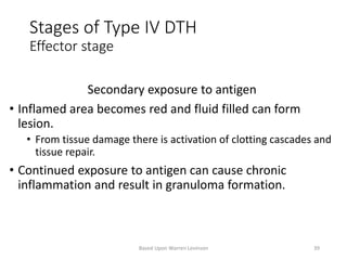 Stages of Type IV DTH
Effector stage
Secondary exposure to antigen
• Inflamed area becomes red and fluid filled can form
lesion.
• From tissue damage there is activation of clotting cascades and
tissue repair.
• Continued exposure to antigen can cause chronic
inflammation and result in granuloma formation.
Based Upon Warren Levinson 39
 