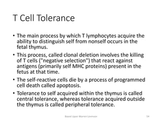 T Cell Tolerance
• The main process by which T lymphocytes acquire the
ability to distinguish self from nonself occurs in the
fetal thymus.
• This process, called clonal deletion involves the killing
of T cells ("negative selection") that react against
antigens (primarily self MHC proteins) present in the
fetus at that time.
• The self-reactive cells die by a process of programmed
cell death called apoptosis.
• Tolerance to self acquired within the thymus is called
central tolerance, whereas tolerance acquired outside
the thymus is called peripheral tolerance.
Based Upon Warren Levinson 54
 