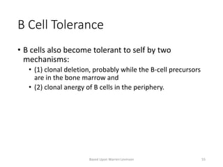 B Cell Tolerance
• B cells also become tolerant to self by two
mechanisms:
• (1) clonal deletion, probably while the B-cell precursors
are in the bone marrow and
• (2) clonal anergy of B cells in the periphery.
Based Upon Warren Levinson 55
 