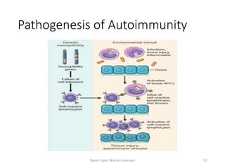 Pathogenesis of Autoimmunity
Based Upon Warren Levinson 57
 