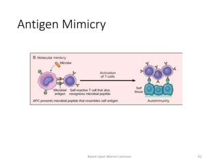 Antigen Mimicry
Based Upon Warren Levinson 61
 
