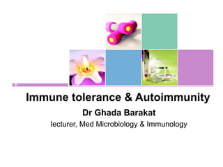 Immune tolerance & Autoimmunity
             Dr Ghada Barakat
    lecturer, Med Microbiology & Immunology
 