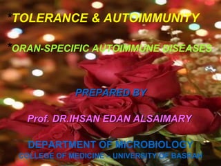 *TOLERANCE & AUTOIMMUNITY
*ORAN-SPECIFIC AUTOIMMUNE DISEASES
PREPARED BY
Prof. DR.IHSAN EDAN ALSAIMARY
DEPARTMENT OF MICROBIOLOGY
COLLEGE OF MEDICINE – UNIVERSITY OF BASRAH
 