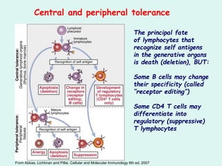 Tolerance & autoimmunity and organ specific autoimmune diseases | PPT