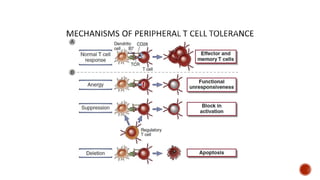 Immunological tolerance and mechanisms involved | PPTX