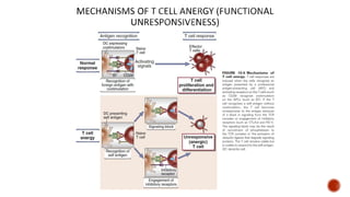 Immunological tolerance and mechanisms involved | PPTX