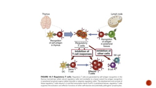 Immunological tolerance and mechanisms involved | PPTX