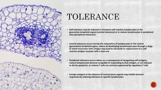 Immunological tolerance and mechanisms involved | PPTX