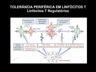 TOLERÂNCIA PERIFÉRICA EM LINFÓCITOS T Linfócitos T Regulatórios Figura 10-1 
