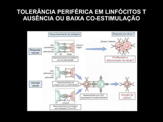 TOLERÂNCIA PERIFÉRICA EM LINFÓCITOS T AUSÊNCIA OU BAIXA CO-ESTIMULAÇÃO Figura 10-1 