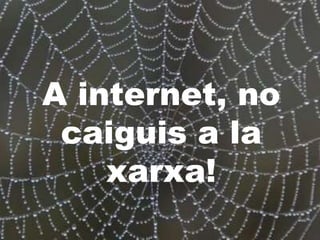 A internet, no caiguis a la xarxa! 