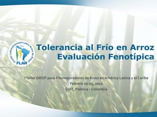 I Taller GRiSP para Fitomejoradores de Arroz en América Latina y el Caribe
                            Febrero 20-23, 2012
                         CIAT, Palmira - Colombia
 