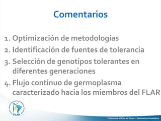 Tolerancia al frio en arroz evaluacion fenotipica