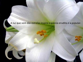 A luz que vem das estrelas inspira a poesia erudita e a popular.  
