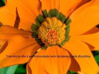 Tolerância não é permissividade nem desapreço pela disciplina. 