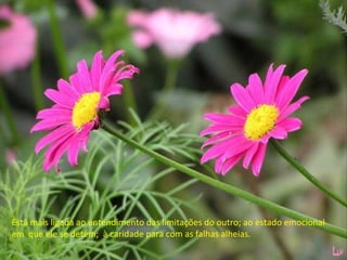 Está mais ligada ao entendimento das limitações do outro; ao estado emocional em  que ele se detém;  à caridade para com as falhas alheias. 