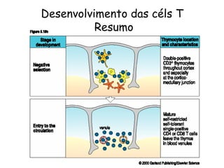 Desenvolvimento das céls T  Resumo 