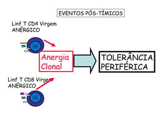 EVENTOS PÓS-TÍMICOS Linf T CD8 Virgem ANÉRGICO Linf T CD4 Virgem ANÉRGICO Anergia  Clonal TOLERÂNCIA PERIFÉRICA 