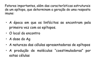 A época em que os linfócitos se encontram pela primeira vez com os epítopos. O local do encontro A dose do Ag A natureza das células apresentadoras de epítopos A produção de moléculas “coestimuladoras” por estas células Fatores importantes, além das características estruturais de um epítopo, que determinam a geração de uma resposta imune: 