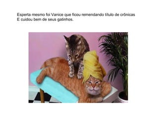 Esperta mesmo foi Vanice que ficou remendando título de crônicas E cuidou bem de seus gatinhos. 