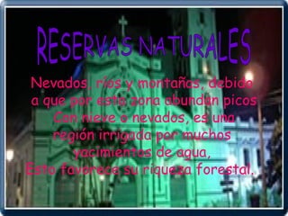 RESERVAS NATURALES  Nevados, ríos y montañas, debido a que por esta zona abundan picos Con nieve o nevados, es una región irrigada por muchos  yacimientos de agua, Esto favorece su riqueza forestal.  