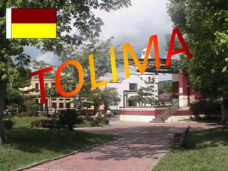 TOLIMA 