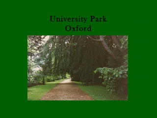 University Park
   Oxford
 