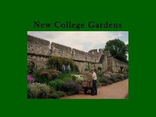 New College Gardens
 
