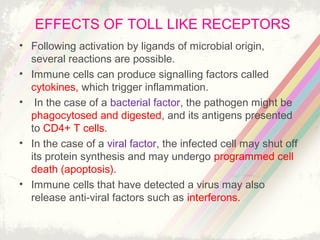 Tol like receptors | PPT
