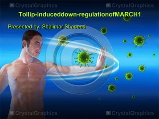 Tollip-induceddown-regulationofMARCH1
Presented by: Shalimar Shadeed
 