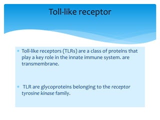 toll_like receptor.pptx